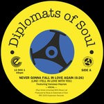 cover: Diplomats Of Soul|Vanessa Haynes - Never Gonna Fall In Love Again (Like I Fell In Love With You) (Digital)