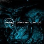 cover: Delphosound - Criminal Mind