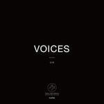 cover: Andy Graydon - Voices