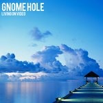 cover: Gnome Hole - Living On Video (Extended Mix)