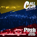 cover: Daves Groover - Push