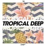 cover: Various - Tropical Deep Vol 14