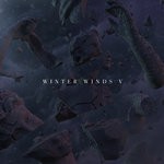 cover: Svnset Waves|Various - WINTER WINDS Vol 5