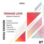 cover: Buddynice|Surprise M - Teenage Love (Remixes)