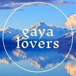 cover: Gaya Lovers - Frequencies 11