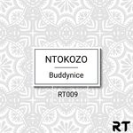 cover: Buddynice - Ntokozo