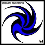 cover: Serg Collector - Follow The Rhythm