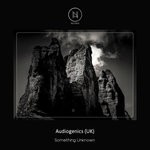 cover: Audiogenics (uk) - Something Unknown