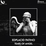 cover: Edplacid Patino - Tears Of Angel