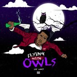 cover: Tre Ward - Flying With Owls (Explicit)