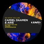 cover: Arie|Camiel Daamen - Do What You Like