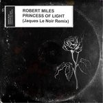 cover: Robert Miles - Princess Of Light (Jaques Le Noir Remix)