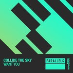 cover: Collide The Sky - Want You