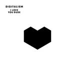 cover: Digitalism - I Love You, Dude