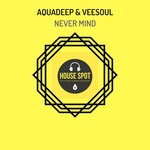 cover: Aquadeep|Veesoul - Never Mind (Tech Mix)