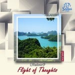 cover: L)vladimir(p - Flight Of Thoughts