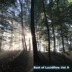 cover: Various - Best Of Lucidflow Vol 9