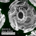 cover: Paul Begge - Acidification