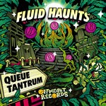 cover: Fluid Haunts - Queue Tantrum