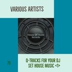 cover: Various - Q-tracks For Your DJ Set House Music 1