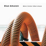 cover: Blue Amazon - What Is Techno/What Is House