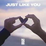 cover: Steven Lamb - Just Like You