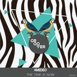 cover: Amedeo - The Time Is Now