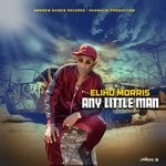 cover: Elihu Morris - Any Little Man