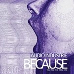 cover: Audio Industrie - Because You Are The Real One