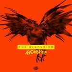 cover: Jay Reeve - The Blackbird (Remix EP)