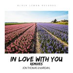 cover: Mardahl|Jon Thomas - In Love With You (Remixes)