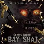 cover: Shawn Storm - Bay Shat