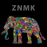 cover: Various - Znmk Year