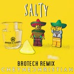 cover: Brotech|Cheyne Christian - Salty (Brotech Remix)