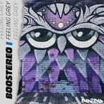 cover: Boostereo - Feeling Grey