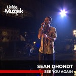 cover: Sean Dhondt - See You Again