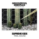 cover: Supreme Kids - Trial Sound (Big Room VIP Mix)