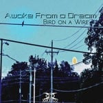 cover: Awake From A Dream - Bird On A Wire