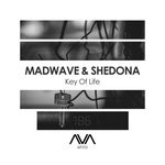 cover: Shedona - Key Of Life (Extended Mix)