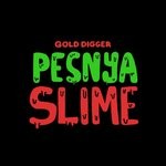 cover: Pesnya - Slime