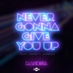 cover: Jarrett Johnson - Never Gonna Give You Up (Extended Mix)