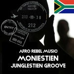 cover: Moniestien - JungleStien Groove