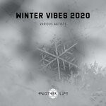 cover: Various - Winter Vibes 2020