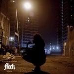 cover: Fleck - Full Of Surprises