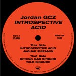 cover: Jordan Gcz - Introspective Acid