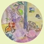 cover: Muztagh - Walking