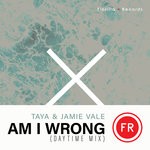 cover: Jamie Vale|Taya - Am I Wrong