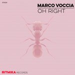 cover: Marco Voccia - Oh Right