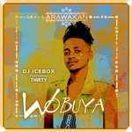 cover: Dj Icebox|Thirty - Wobuya