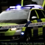 cover: The Feds - Police Siren